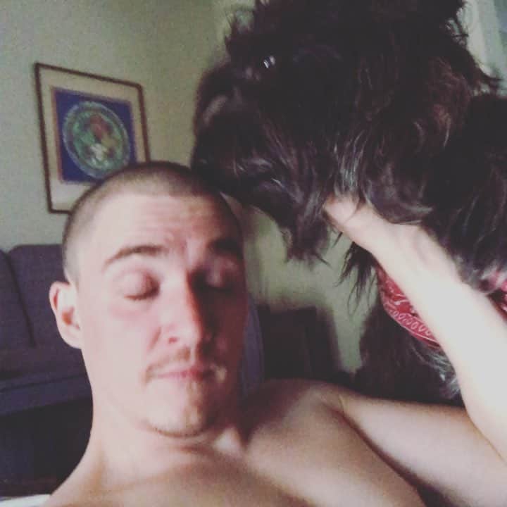 カイル・ガルナーのインスタグラム：「Trying to get things done..... this muppet..... #dog #dogsofinstagram  #dogs」