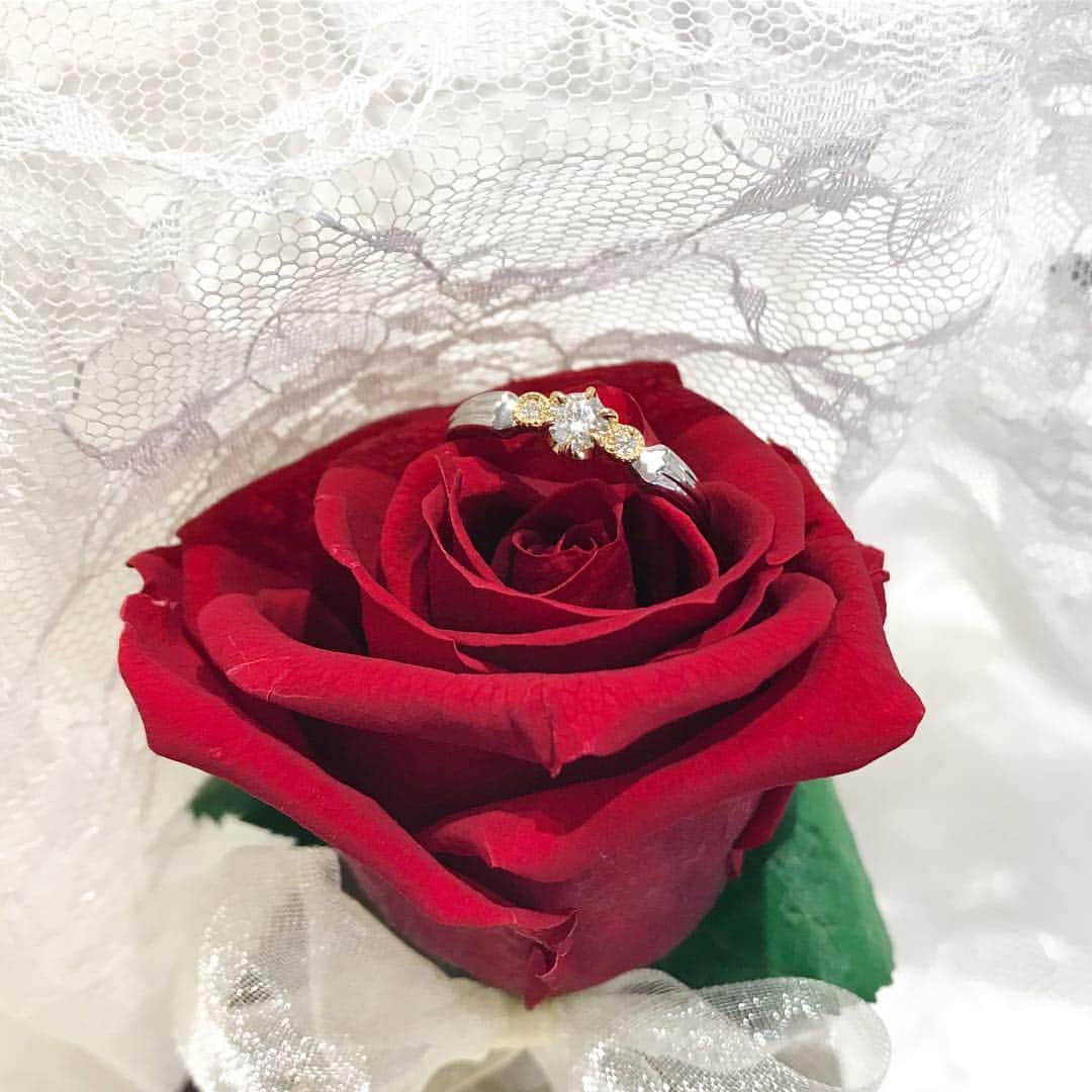 JKプラネット銀座.表参道.福岡|結婚指輪セレクトショップさんのインスタグラム写真 - (JKプラネット銀座.表参道.福岡|結婚指輪セレクトショップInstagram)「💍 @jkplanet.jewelry  ディズニー美女と野獣 – Beauty AND THE BEAST デザイン名:Belle with Beast［ベル・ウィズ・ビースト ］ エンゲージリングは、「美女と野獣」の物語の様々な場面を彩る、お城やボールルームのきらびやかな装飾をイメージ🌹 マリッジリングは、ベルの胸元をエレガントに飾るドレスのデコルテ部分のデザインを表現✨ 着け心地の良いシンプルさに他にはないデザインを加えた仕上がりになっております。 レディースには「ベル」をイメージしたイエローサファイヤ、メンズには「野獣」をイメージしたブルーサファイヤをリングの内側にセッティング♪ . JKPlanet（@jkplanet.jewelry）銀座本店・表参道店・横浜元町店・福岡天神店・熊本上通店・鹿児島天文館店にてお取り扱い。 . #JKPlanet #JKプラネット #結婚指輪のセレクトショップ #ディズニー #美女と野獣 #ディズニー婚約指輪 #ディズニー結婚指輪 #エンゲージリング #婚約指輪 #マリッジリング #結婚指輪 #結婚指輪💍 #結婚指輪探し #婚約指輪探し #結婚指輪選び #ウェディング #プロポーズ #プレ花嫁 #日本中のプレ花嫁さんと繋がりたい #全国のプレ花嫁さんと繋がりたい #銀座結婚指輪 #表参道結婚指輪 #原宿結婚指輪 #福岡結婚指輪 #天神結婚指輪 #熊本結婚指輪 #鹿児島結婚指輪 #weddingring」4月8日 9時35分 - jkplanet.jewelry
