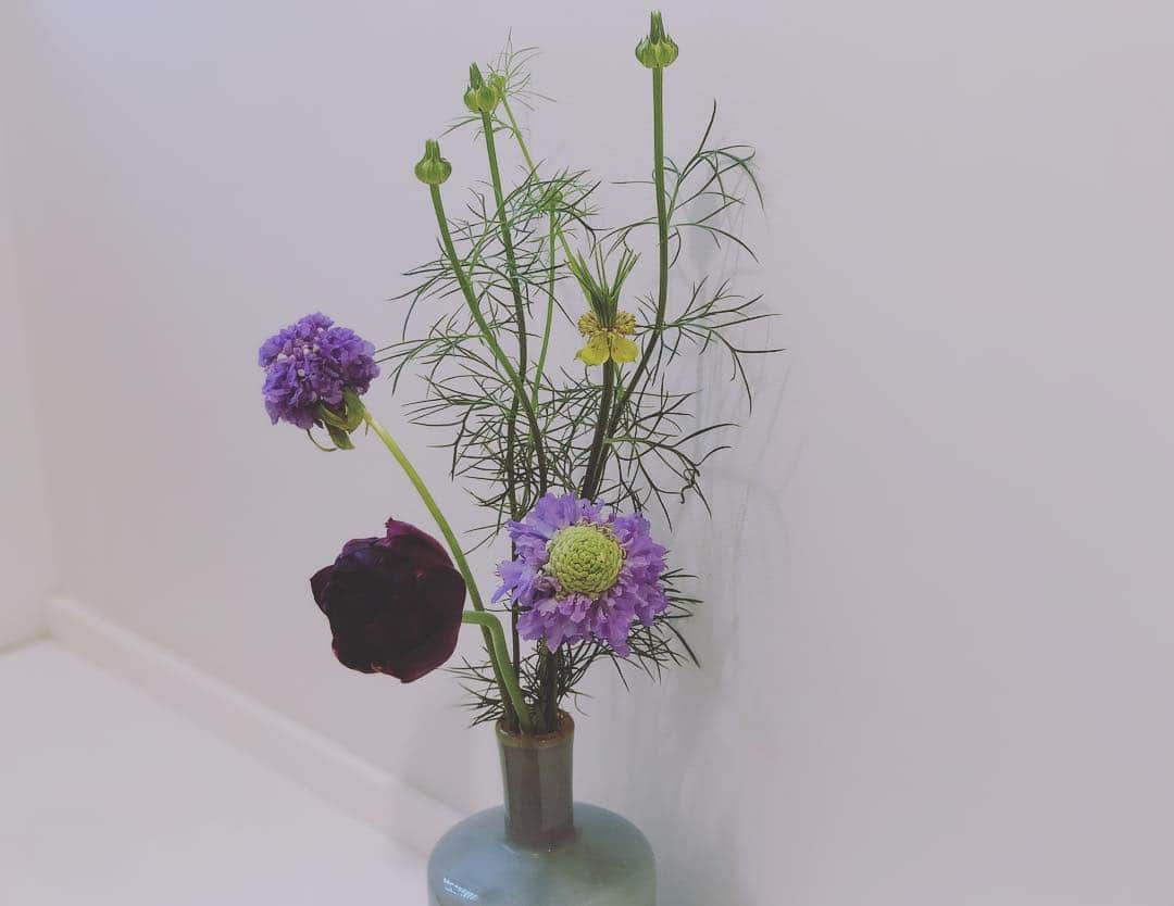 芦那すみれのインスタグラム：「月に５日くらいしか開いてない、今いちばんまぼろしに近いお花屋さん @oeuvre_tokyo で買ったお花💐やはりかわいい☺️」