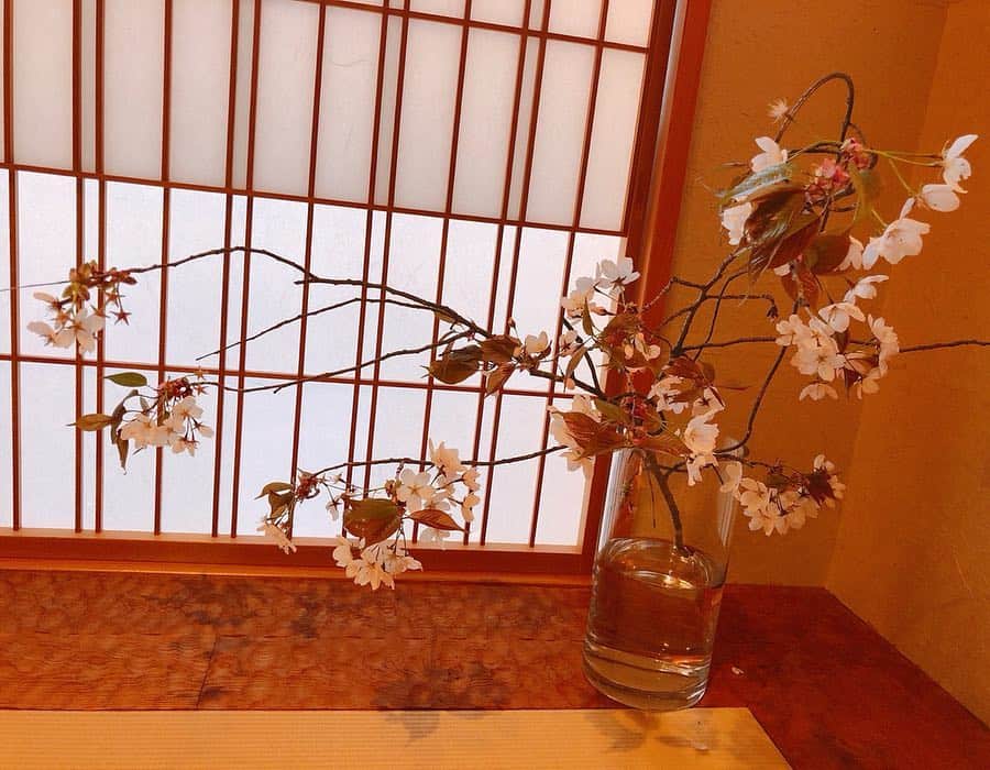 篠崎愛さんのインスタグラム写真 - (篠崎愛Instagram)「🌸 #お部屋でお花見」4月8日 15時19分 - shinopp._.ai