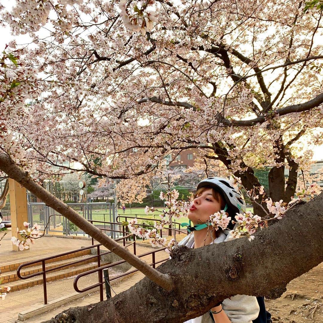 高松チェルシーリナさんのインスタグラム写真 - (高松チェルシーリナInstagram)「. 暖かくなってきたので、自転車🚴‍♀️始めました🥳🔥💕 まだお花見してなかったので、目黒川に桜を見に行ったよ🌸 人が多かったけど、、、、 やっぱり目黒川の桜は圧倒的に綺麗よね🤤❤️ . #roadbike#bicycle#cherryblossom#桜#お花見#ロードバイク#ロードバイク女子#目黒川#japan#tokyo」4月8日 10時01分 - chelsea_rina