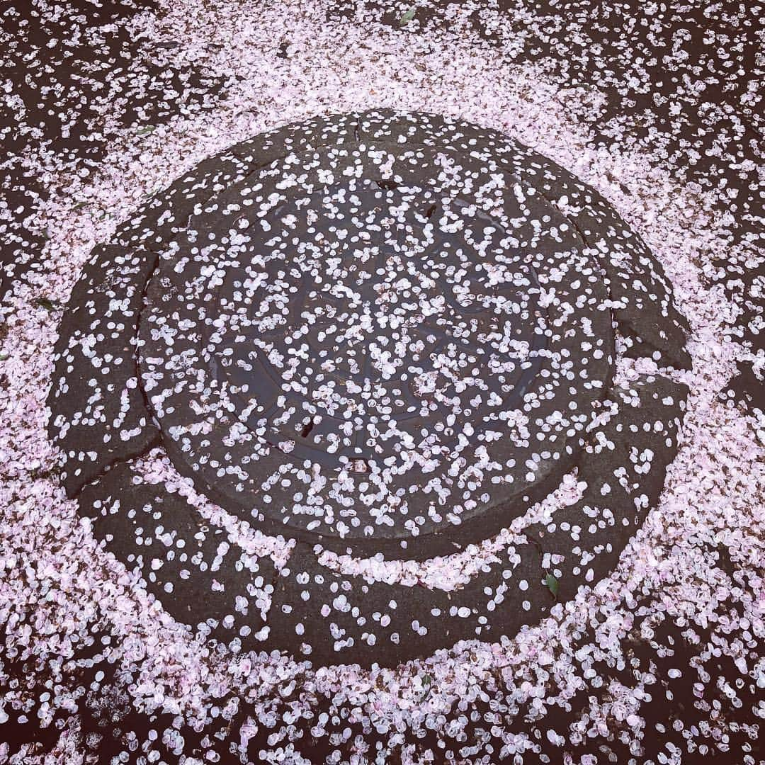 BONNIE PINKのインスタグラム：「SMILE☺︎🌸🌸🌸」