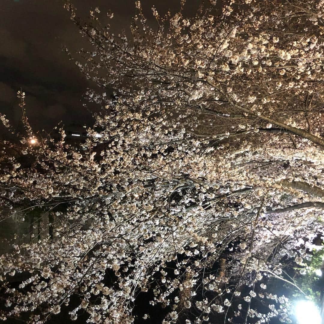 ギャル曽根さんのインスタグラム写真 - (ギャル曽根Instagram)「春。 入学式の季節🌸 あんなに小さかった息子が小学生。 #早いなぁ。 #新一年生おめでとう🎊」4月8日 11時09分 - galsone_1204