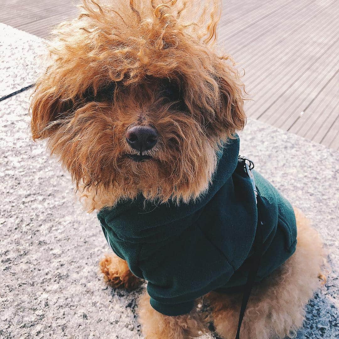 Loganさんのインスタグラム写真 - (LoganInstagram)「Spring/sprung 🌷 The little guys are out!」4月8日 11時02分 - loganslook