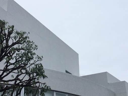 のインスタグラム：「おはようございます。 只今の代官山地区の天候は曇り。 本日の最高気温は14℃の予報です。 朝から小雨が降っていましたが、今は上がっています。しかし、夕方ごろからまた雨の予報ですので、傘を持ってお出かけ下さい。 では、本日も皆様のご来店をお待ちしております。  #B印YOSHIDA #bjirushiyoshida #代官山 #daikanyama」