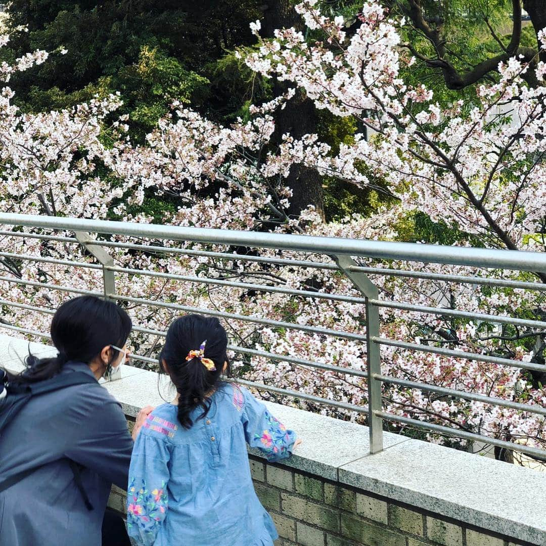 三倉茉奈さんのインスタグラム写真 - (三倉茉奈Instagram)「わちゃわちゃ 姪っ子甥っ子佳奈とお出かけ。 #姪っ子 #4歳 #甥っ子 #今月3歳 #ポーズがナイス #love #niece #nephew #おばばか」4月8日 11時42分 - mana_mikura_official