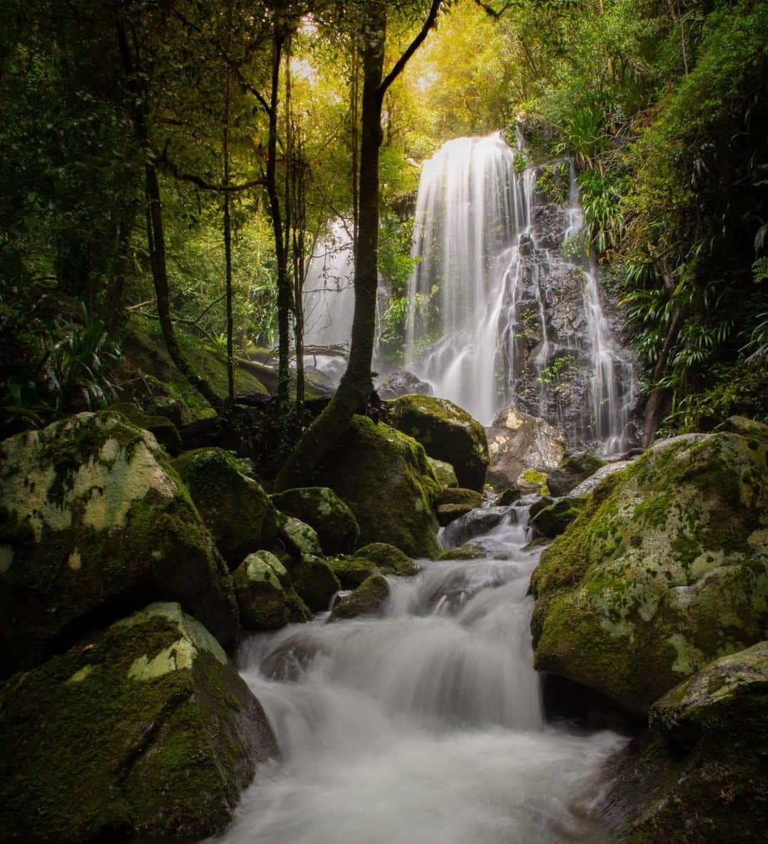 Nikon Australiaさんのインスタグラム写真 - (Nikon AustraliaInstagram)「A view worth hiking for!  The stunning Chalahn Falls, Lamington National Park captured by @keeganley_landscapes on the Nikon D610 using a 1-second exposure.  Camera: Nikon D610  Lens: Nikon 24-70mm f2.8  Settings: 24mm | f/16 | 1sec | ISO 100」4月8日 12時00分 - nikonaustralia