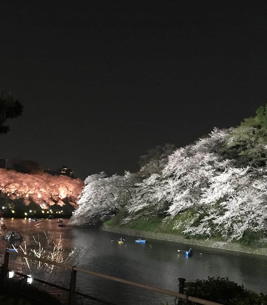 駒田奈美さんのインスタグラム写真 - (駒田奈美Instagram)「・ ・ ・ 千鳥ヶ淵の夜桜を見に… ・ ・ とても綺麗でした♡ ・ ・ ・ #駒田奈美#オスカープロモーション#モデル#千鳥ヶ淵#桜#夜桜#綺麗」4月8日 12時06分 - nami.komada