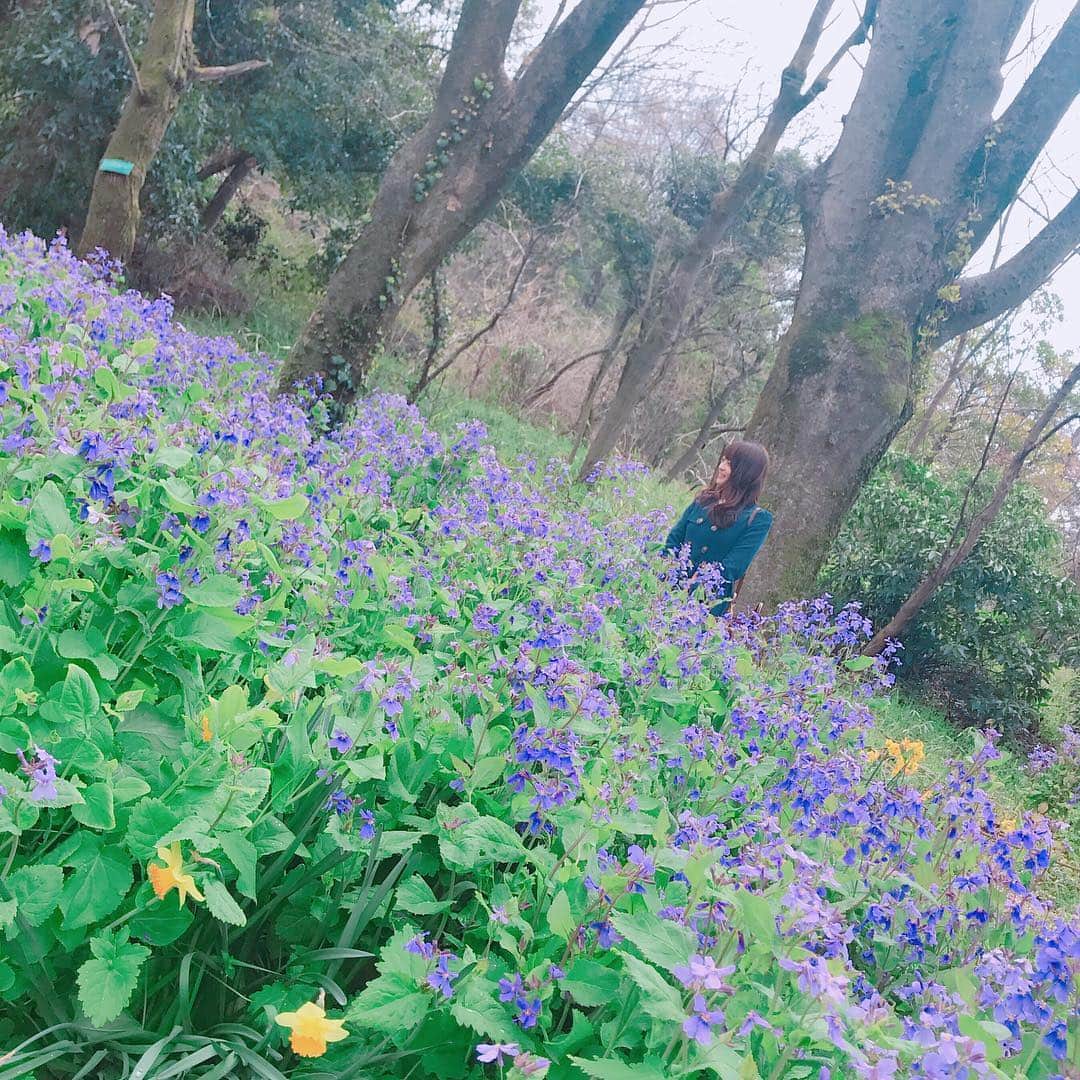 怜花のインスタグラム：「京都府立植物園🌷 お花に囲まれて癒されました(*´°`*) ・ ・ #京都 #kyoto #京都府立植物園」