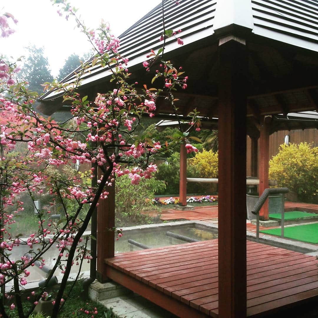 ホテルアンビエント伊豆高原のグルメインスタ