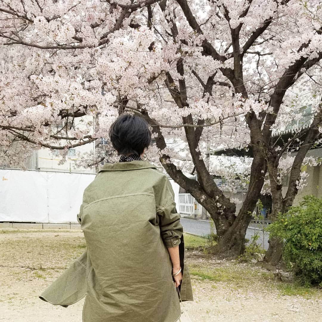 neokazumiのインスタグラム：「・ 視界いっぱいの 立派な桜の木 多分私より2～30歳は 上のぱいせん🌸 ・ 静かで優しくて大きい ・ #桜」