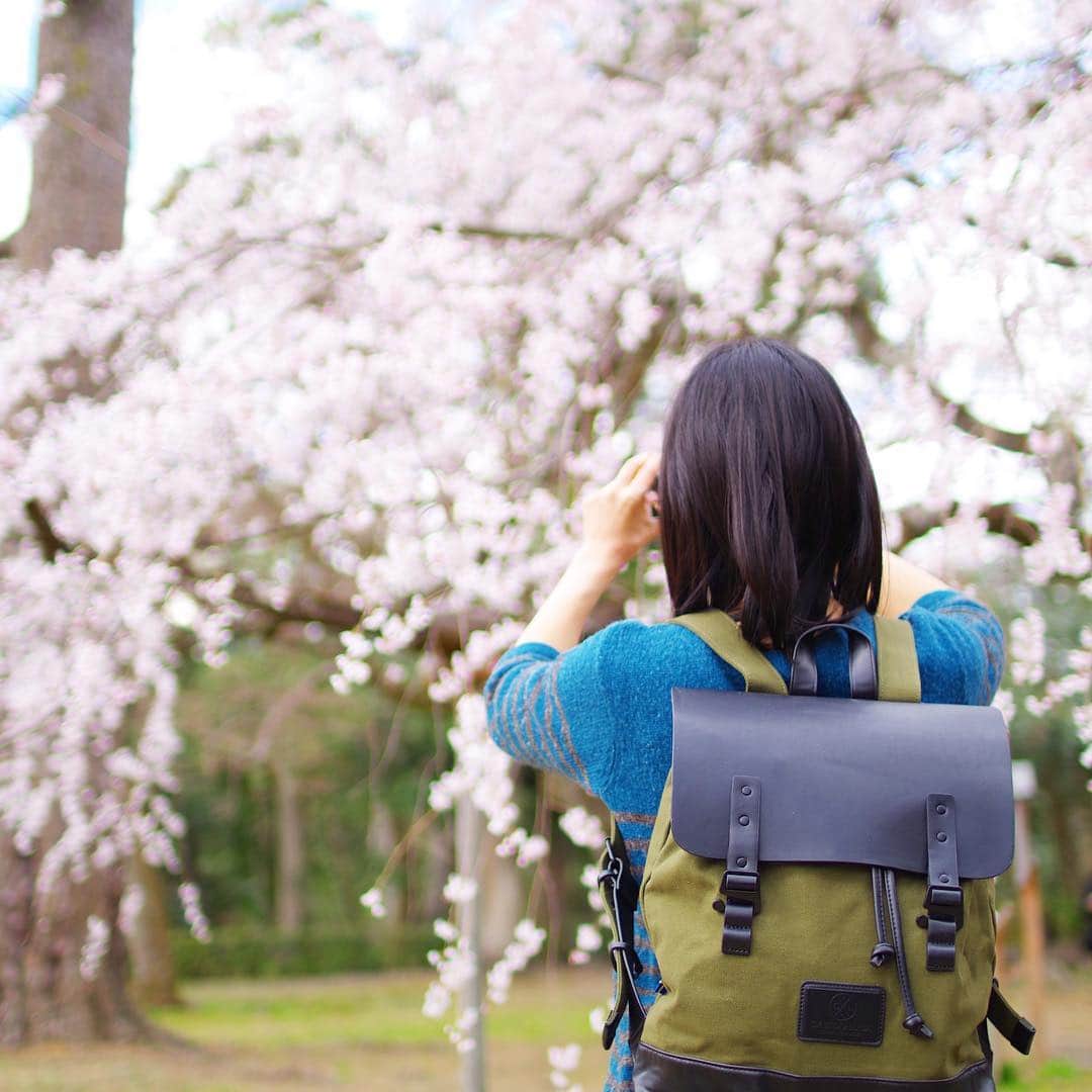 木村涼子さんのインスタグラム写真 - (木村涼子Instagram)「2019.4.8 先日の、御所の枝垂れ桜が咲き始めた頃の写真。 ガストンルーガ @gastonluga を背負って写真撮ってます。  ただ今スプリングキャンペーン開催中で かばんをお買い上げいただいた方に 期間限定でトートバッグ無料プレゼントがあるそうです。 ●15%off専用割引コード：15kimuryou (期限なし) ●公式オンラインストア：http://gastonluga.com ●送料無料  #GastonLuga #ガストンルーガ #バックパック #リュック #桜 #枝垂れ桜 #しだれ桜 #御所」4月8日 12時35分 - kimuryou