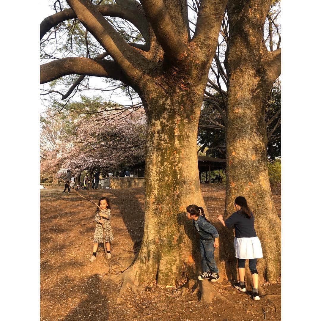 松本恵奈さんのインスタグラム写真 - (松本恵奈Instagram)「いつもの仲良しfamでお花見したよ🌸最高だった。遊びすぎて帰る頃には着ていった白のサーマルがベージュになってた。笑 ちなみにこの桜の中にチビ達が5人くらい隠れています👦🏻👧🏻👶🏻🙈見つけれたかな？笑  もう人数多くて全然まともな写真撮れません😂」4月8日 12時47分 - ena1123
