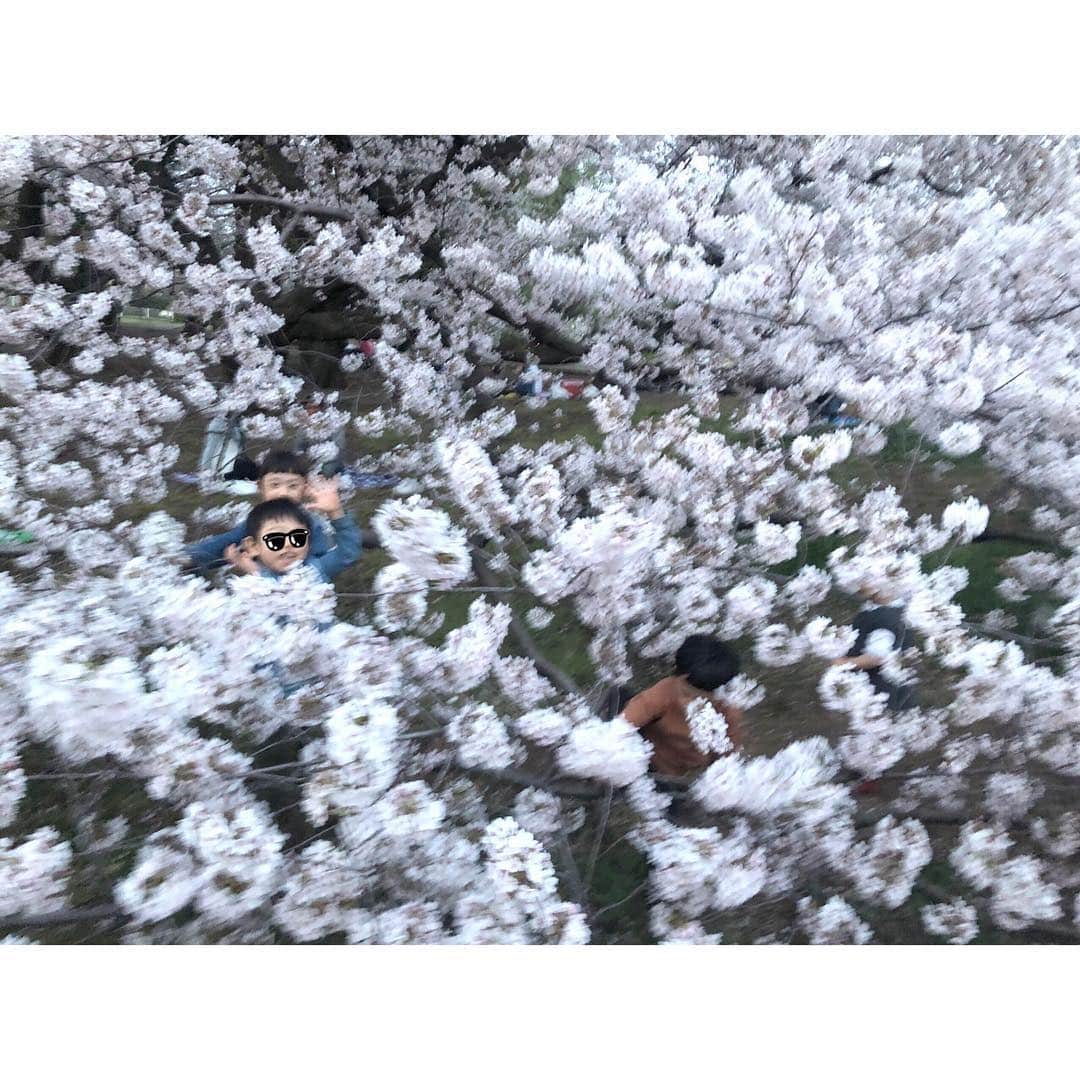 松本恵奈さんのインスタグラム写真 - (松本恵奈Instagram)「いつもの仲良しfamでお花見したよ🌸最高だった。遊びすぎて帰る頃には着ていった白のサーマルがベージュになってた。笑 ちなみにこの桜の中にチビ達が5人くらい隠れています👦🏻👧🏻👶🏻🙈見つけれたかな？笑  もう人数多くて全然まともな写真撮れません😂」4月8日 12時47分 - ena1123