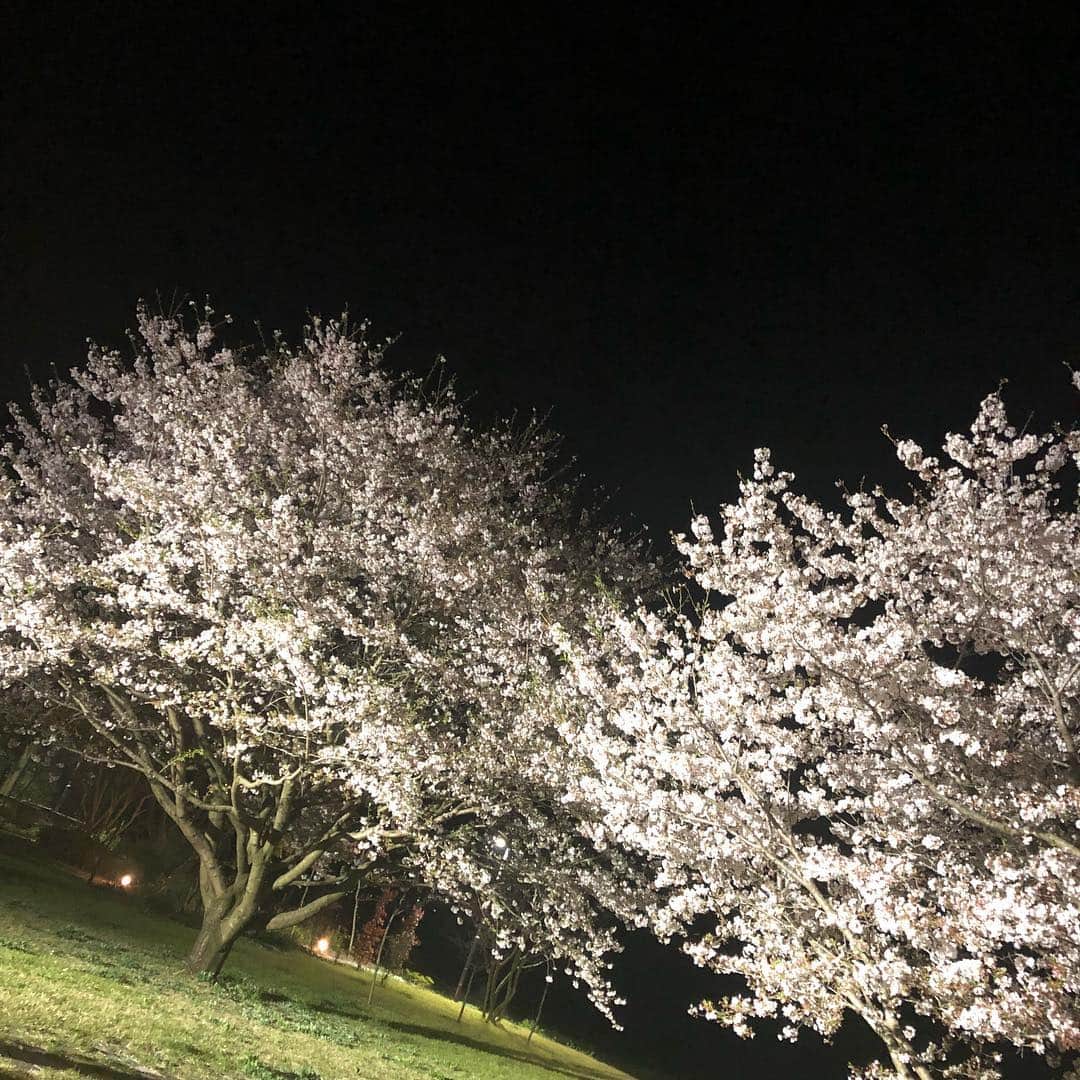 小河諒さんのインスタグラム写真 - (小河諒Instagram)「Gen先生のレースのサポートへ！  PCCJで知り合った仲間がたくさん！ オートポリスでも開催してほしいなぁ〜。笑 春のミルクロードは桜がとても綺麗でした  夜はクリニックの皆さんにS耐開幕戦のお祝いをして頂きました！  今年はたくさん優勝して毎月福岡にいきます🤩🤩 #江本ニーアンドスポーツクリニック  #小河諒」4月8日 12時51分 - ryo_ogawa_