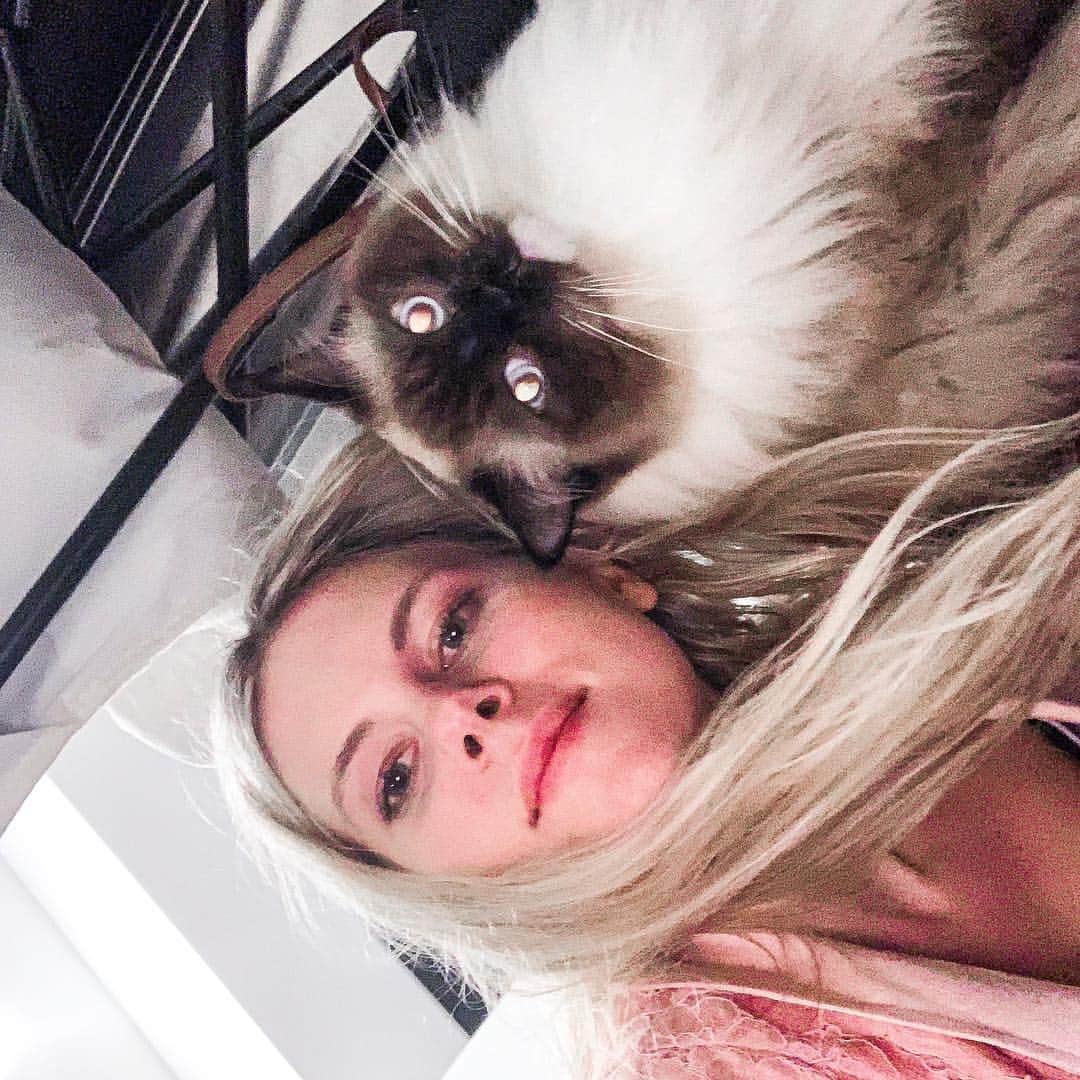 Chrissy Blairのインスタグラム：「Basically my weekend in a nutshell 🐱」