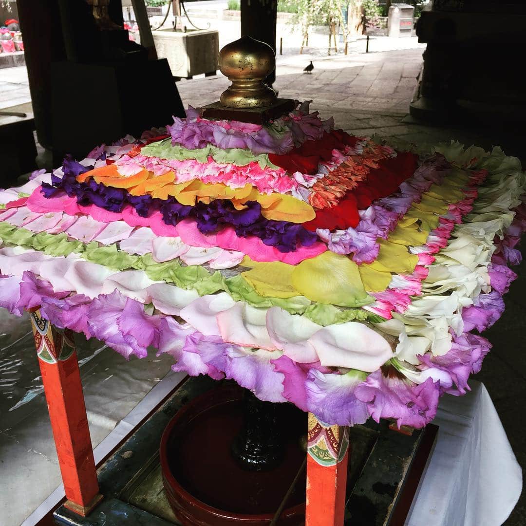 いけばな池坊さんのインスタグラム写真 - (いけばな池坊Instagram)「4月8日は花まつり🌸お釈迦様の生誕を祝う日です。たくさんの花弁で飾られた花御堂(はなみどう)の中には、誕生のお姿とされるお釈迦様。参拝の方はお釈迦様に甘茶(あまちゃ)を注ぎ、生誕を祝います。 #花まつり #花祭り #灌仏会 #降誕会 #六角堂 #頂法寺 #仏教 #花御堂 #甘茶 #京都 #いけばな発祥の地 #いけばな #生け花 #華道 #池坊」4月8日 13時24分 - ikenobo550