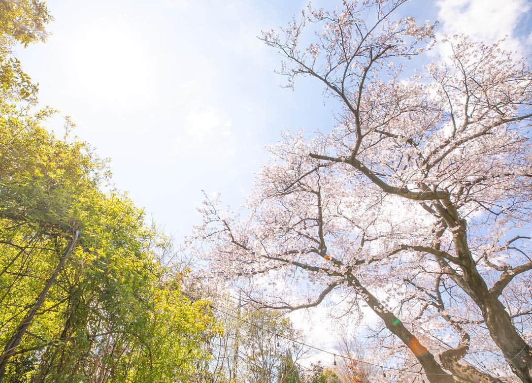 ラクラリエールのグルメインスタ