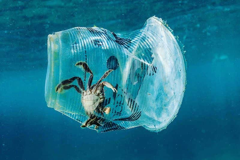 ミロスラヴァ・デュマさんのインスタグラム写真 - (ミロスラヴァ・デュマInstagram)「More EXCITING news on PLASTIC BAN: 560 lawmakers from the European parliament voted overwhelmingly to ban single-use plastic items by 2021, in a bid to tackle marine litter and encourage sustainable alternatives. Additionally European Union member countries will also have to achieve a 90% collection target for plastic bottles by 2029. ⠀ According to statistics more than 80% of marine litter is plastic and only less than 30% of the 25 million tonnes of plastic generated yearly by E.U. countries is recycled.」4月4日 17時58分 - miraduma