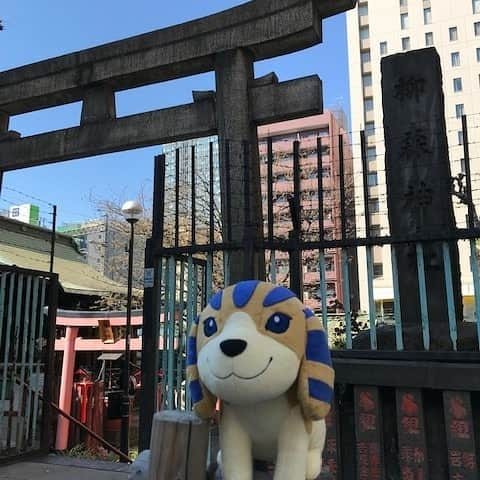 日本テレビ「金曜ロードSHOW!」さんのインスタグラム写真 - (日本テレビ「金曜ロードSHOW!」Instagram)「🐾アンクの東京散歩🐾  おたぬき様が祭られている東京・秋葉原の柳森神社にお散歩に行ってきたよ🐾💨 明日は｢平成狸合戦ぽんぽこ｣ ぜひ観てくれるカナ🐾📺 #平成狸合戦ぽんぽこ #高畑勲 #スタジオジブリ #ぽんぽこ #狸 #タヌキ #金ロー #kinro #アンク #散歩」4月4日 17時59分 - kinro_ntv