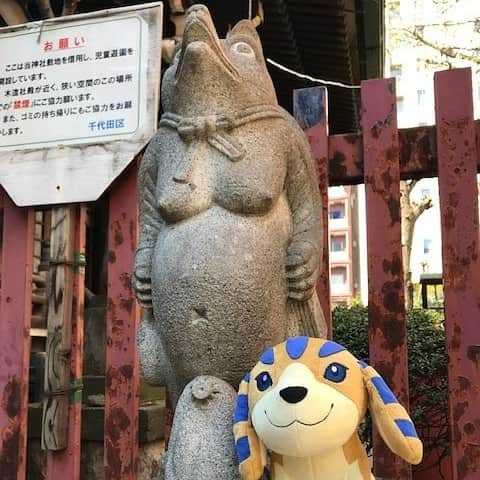 日本テレビ「金曜ロードSHOW!」さんのインスタグラム写真 - (日本テレビ「金曜ロードSHOW!」Instagram)「🐾アンクの東京散歩🐾  おたぬき様が祭られている東京・秋葉原の柳森神社にお散歩に行ってきたよ🐾💨 明日は｢平成狸合戦ぽんぽこ｣ ぜひ観てくれるカナ🐾📺 #平成狸合戦ぽんぽこ #高畑勲 #スタジオジブリ #ぽんぽこ #狸 #タヌキ #金ロー #kinro #アンク #散歩」4月4日 17時59分 - kinro_ntv