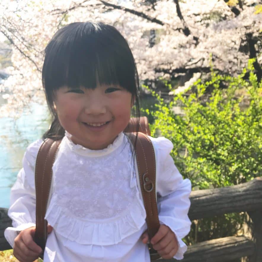 omatsuriccoのインスタグラム：「#今日のドルジ 2019.4.4 ・ ランドセル🎒×桜🌸 ・ たくさん撮ったけど、とりあえずアップから😊」