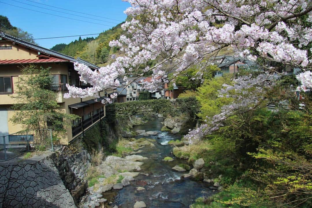 現地発信の旅行サイト「たびらい」さんのインスタグラム写真 - (現地発信の旅行サイト「たびらい」Instagram)「【熊本・水俣】 水俣市の市街地近郊の標高333メートルの場所にある「中尾山公園」。頂上にある広場の桜を撮影してきました！  秋には、最大のイベントの「コスモス祭り」も開催。ぜひ四季の花々を眺めにお出かけしてみてくださいね♪ ： #中尾山公園 #たびらい #tabirai #ローカル旅行 #旅行好き #旅行 #旅行好きな人と繋がりたい #たびらい九州 #たびらい熊本 #水俣 #熊本 #写真好きと繋がりたい #中尾山スカイロード #桜 #おでかけ #花見 #湯の鶴 #温泉 #onsen #旅館 #九州 #コスモス祭り #コスモス #カメラ #photo #カメラ女子 #さくら #sakura #かわいい #pink」4月4日 16時56分 - tabirai