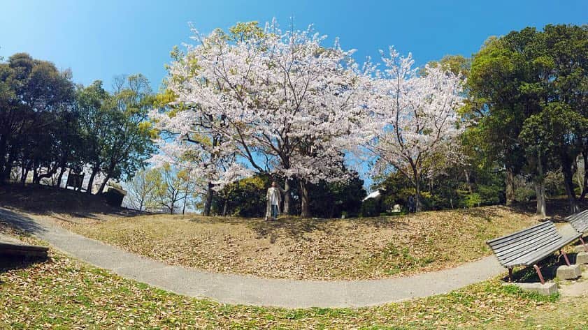 fumikaさんのインスタグラム写真 - (fumikaInstagram)「🌸🚶‍♀️ #OsmoPocket」4月4日 16時59分 - fumikasingasong