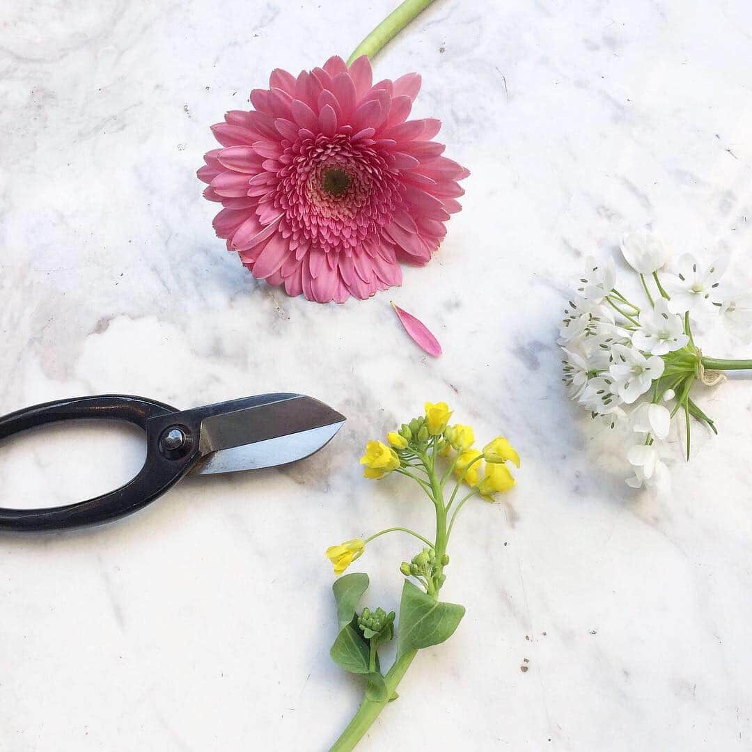 のインスタグラム：「今回の花材はこちら🙌💕答え合わせは次のスライドで✨ ... #スタッフのひとりごと 花ばかりも綺麗ですが、もう少しグリーンが欲しかったです🌿🌿🌿これって、いけばな制作者あるある？🤣 ... #暮らしに彩りを #いけばな始めました …. #ikebana #池坊 #花のある暮らし#Instaphoto #Instaflower#bloomeelife #ブルーミーライフ #Gerbera #ガーベラ #Fieldmustard #菜の花 #Allium #アリウム  #present #Goebel #RosinaWachtmeister #tea #teacup #cat #アルアート #ALART #アルミ #aluminium #大理石」