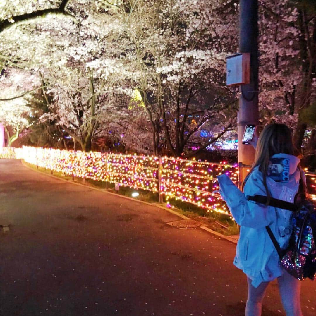 桜井莉菜さんのインスタグラム写真 - (桜井莉菜Instagram)「よみうりランドの 夜桜ジュエルミネーション行ってきたよ🙋‍♀️✨ 普通のジュエルミネーションであんなに綺麗だったのに、それに桜までプラスされるてどゆこと😳🌸 どー考えても綺麗でしかないでしょ🤭🤭🤭 時間ギリギリに行き過ぎて乗り物乗れなかったけど、見てるだけで大満足だった💓💓💓 ジャケットとブーツは @riina_couture  リュックは @ruua.shop  パーカーはロイフラのだよん🙆‍♀️🌸 #花見#夜桜#よみうりランド#ジュエルミネーション」4月4日 17時06分 - rina__sakurai