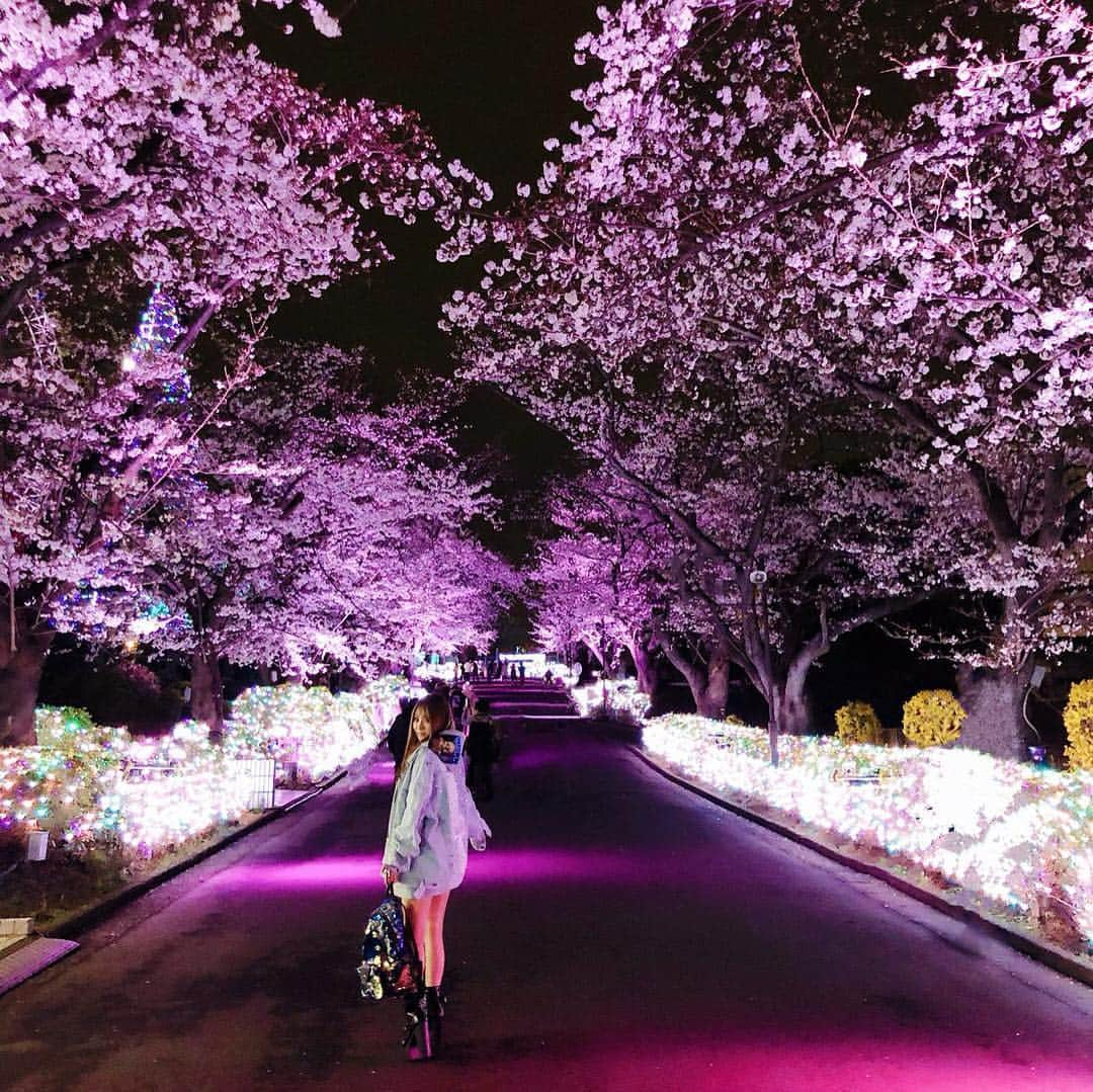 桜井莉菜さんのインスタグラム写真 - (桜井莉菜Instagram)「よみうりランドの 夜桜ジュエルミネーション行ってきたよ🙋‍♀️✨ 普通のジュエルミネーションであんなに綺麗だったのに、それに桜までプラスされるてどゆこと😳🌸 どー考えても綺麗でしかないでしょ🤭🤭🤭 時間ギリギリに行き過ぎて乗り物乗れなかったけど、見てるだけで大満足だった💓💓💓 ジャケットとブーツは @riina_couture  リュックは @ruua.shop  パーカーはロイフラのだよん🙆‍♀️🌸 #花見#夜桜#よみうりランド#ジュエルミネーション」4月4日 17時06分 - rina__sakurai