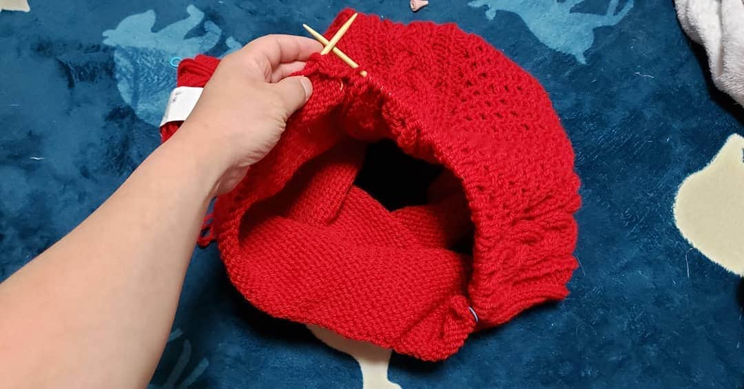 アイパー滝沢さんのインスタグラム写真 - (アイパー滝沢Instagram)「今、輪針でセーター的な物も編んでるホゥ。目を離すと、すぐマリが入ってきて丸くなるホゥ。 #handmade #Crochet #knitting #猫が丸くなる #ハマナカボニー #目を離すと #よしもと芸人」4月4日 17時12分 - t.aipa