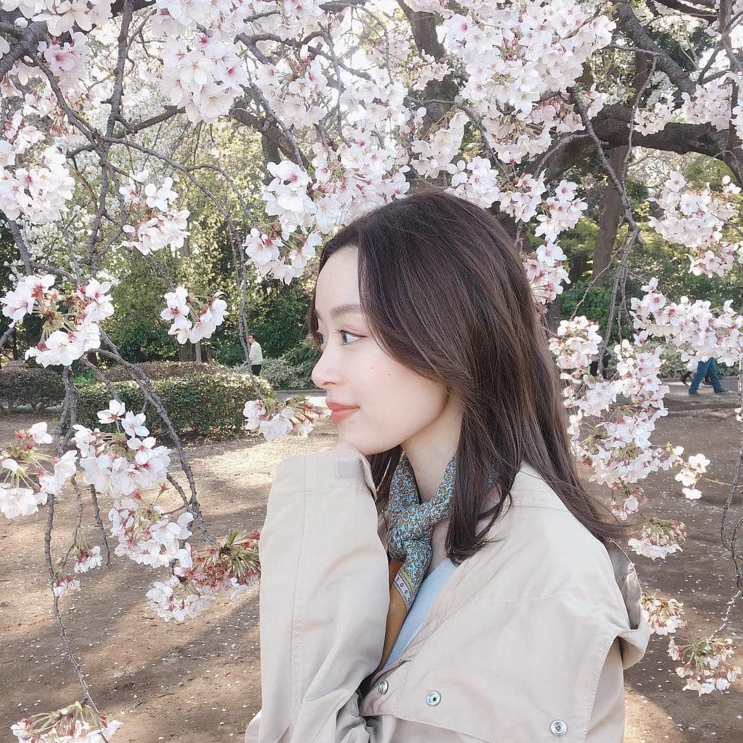 小山内花凜さんのインスタグラム写真 - (小山内花凜Instagram)「🌸﻿ ﻿ 家族で見てきました〜﻿ 桜が沢山咲いていて、綺麗だったよ」4月4日 17時16分 - karin_osanai