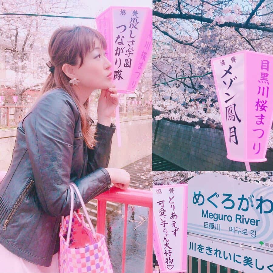 夕霧らいさんのインスタグラム写真 - (夕霧らいInstagram)「桜と言ったらココ🌸 目黒川沿いはわちゃわちゃし過ぎないから、好きです🥰 そして、川沿いの提灯のコメントが面白い〜🤢💕 この日は、コーギーちゃんにたくさん会えて嬉しかったよぉ😭💕 ルルゥ🐶😇 . . #お花見🌸  #目黒川桜まつり  #ちょこいちご🍓  #いちごプロップ  #食べ歩きスイーツ  #ウェルシュコーギー #この表情ww  #2年連続 #三色団子🍡  #お花見には #欠かせないアイテム」4月4日 17時17分 - 88rairai88