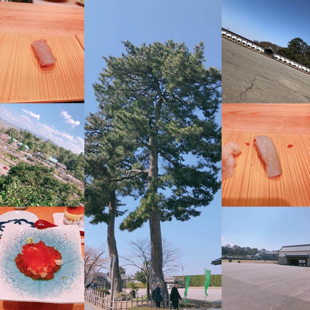 内田滋さんのインスタグラム写真 - (内田滋Instagram)「金沢、楽しかったです。 というか、新感線「偽義経冥界歌」めちゃくちゃ面白かった！ほんとに。 それだけで行ってよかった。 楽屋でウダウダさせて頂いてから、兄家族の所へ。 ゆっくりして、呑んで食べて、今から帰京します。 久々に金沢いけて良かったなぁ。  #偽義経冥界歌 #新感線 #金沢 #兼六園」4月4日 17時20分 - shige_uchida