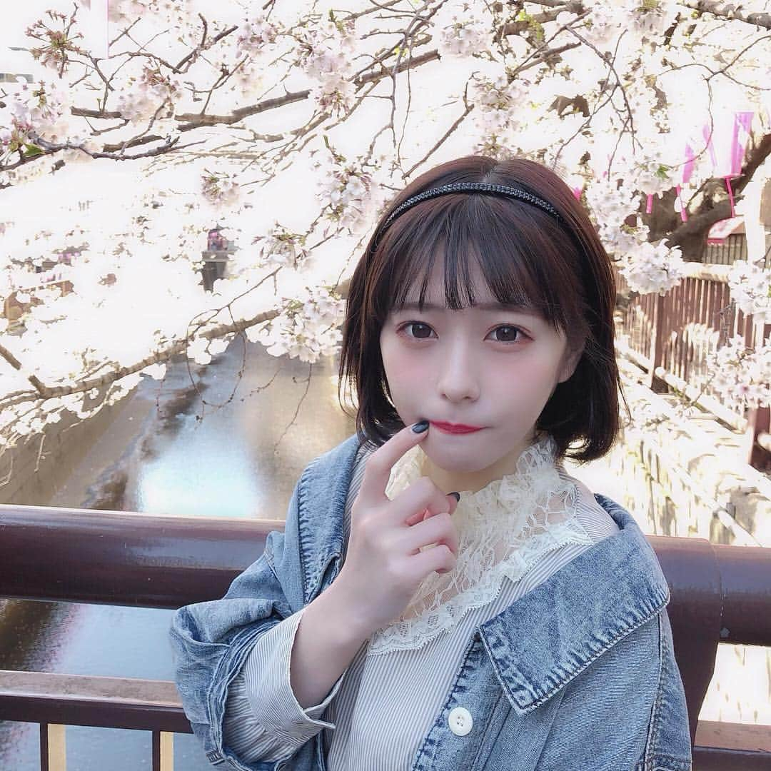 深瀬美桜さんのインスタグラム写真 - (深瀬美桜Instagram)「🌸」4月4日 17時28分 - fukasemio