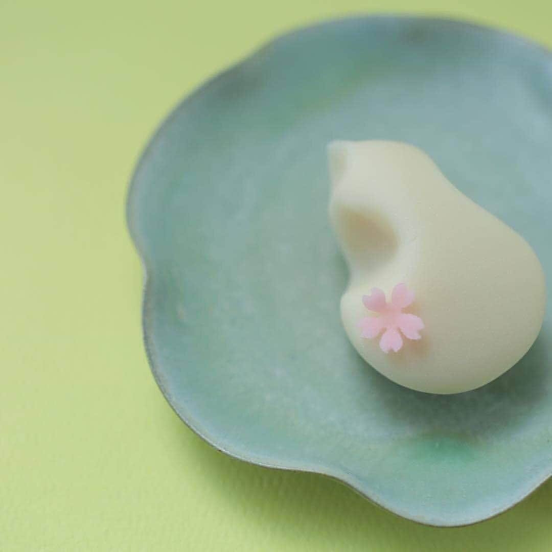 KANEBO OFFICIALさんのインスタグラム写真 - (KANEBO OFFICIALInstagram)「WAGASHI-HANAMIZAKE- さくら色に酔いしれて。 Spring mellow with sakura flavor. 写真提供:@choppe_tt #japanesesweets #wagashi #sweets #japan#japanesefood #japaneseculture #japanesetraditional #kyoto #zen #spring #beautiful #handmade #myfavorite#design #豊かな生活 #贅沢な時間 #丁寧な暮らし #暮らしを楽しむ #和菓子 #お菓子 #上菓子#お菓子作り #風情 #花見酒 #日本 #伝統 #お茶の時間 #春の訪れ #kaneboglobal #kanebo」4月4日 17時30分 - kaneboofficial