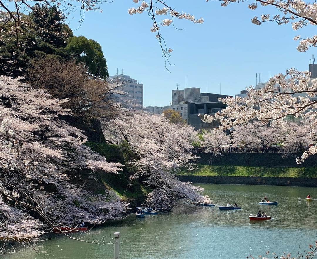 大手小町さんのインスタグラム写真 - (大手小町Instagram)「千鳥ヶ淵に行った小町メンバーの写真もあげちゃいます^_^  新年度もフレッシュな気持ちで頑張ります！ #otekomachi #桜の名所」4月4日 17時32分 - otekomachi