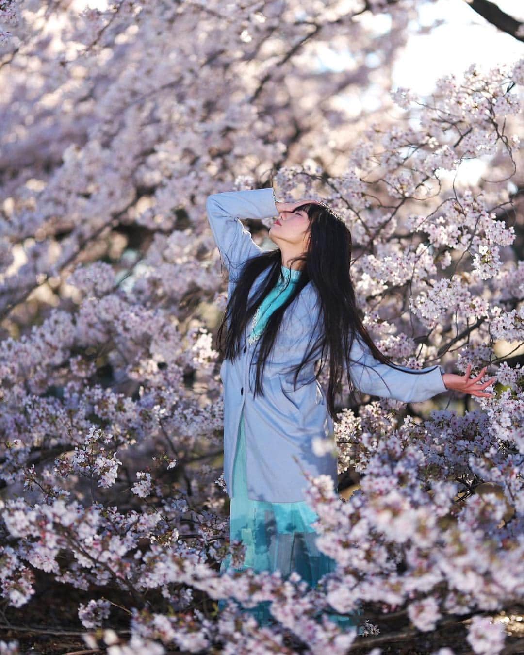のインスタグラム：「リクエスト撮影で砧公園に行ってきました♪ 桜綺麗だったから来年はマシュマロで正式にやろう、といずみちゃんに宣言しておいた(๑•̀ㅂ•́)و✧ . #マシュマロ撮影会  #砧公園 #portrait #portraitphotography #good_portraits_world #lovers_nippon_portrait #portraits #jp_portrait部 #ポートレート #photography #写真好きな人と繋がりたい #ファインダー越しの私の世界 #instagood #fashion #photographer #photooftheday #東京カメラ部 #tokyocameraclub  #ポートレートしま専科 #japanesegirl #followme #ig_japan  #kawaiigirl #インスタグラマー #春コーデ #春ワンピース #whitecode #sakura #sakura🌸 #今日のコーデ」