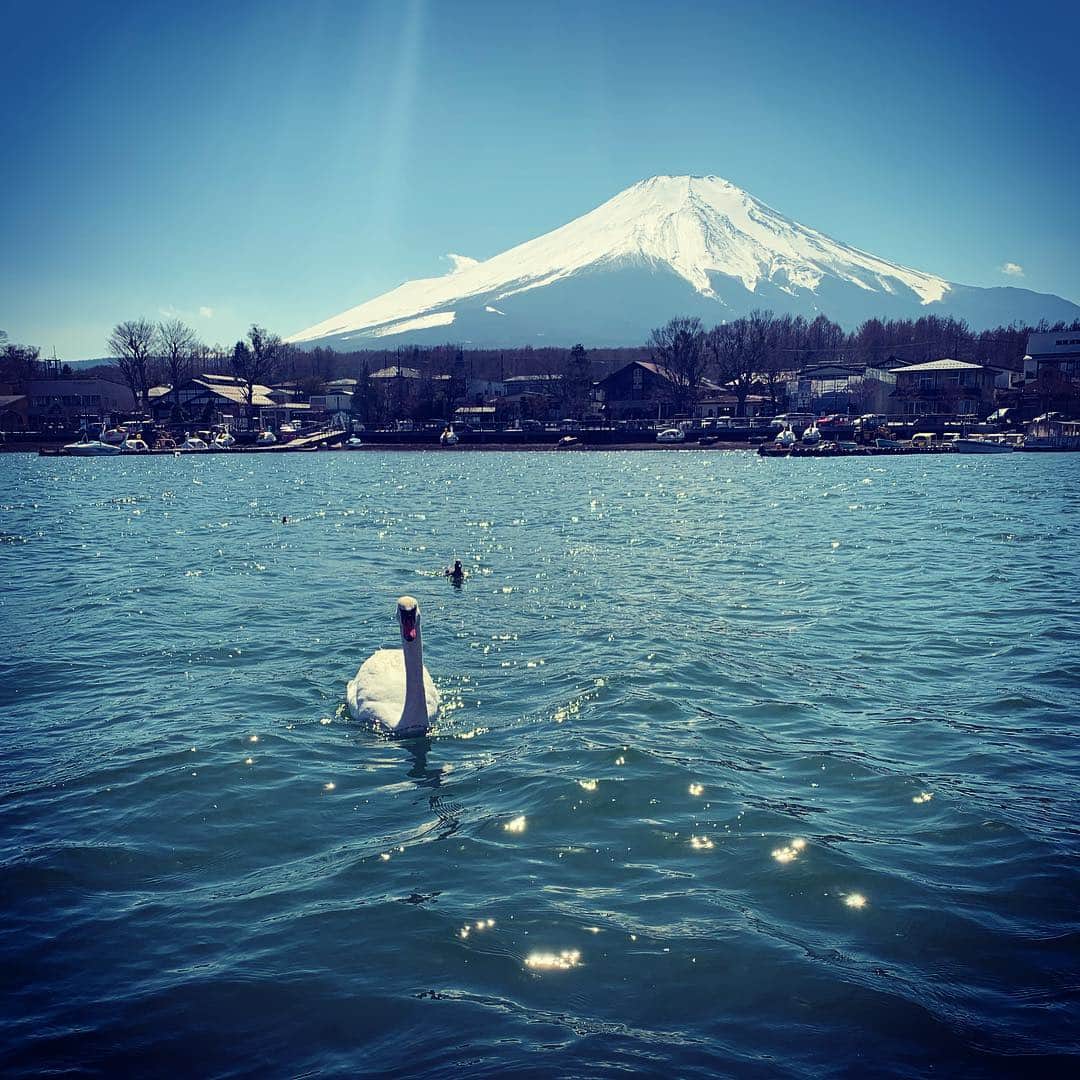 奥菜恵さんのインスタグラム写真 - (奥菜恵Instagram)「春休み最後のお出かけ  #富士山 #湖 #白鳥 #気分転換 #パワースポット #春休み」4月4日 17時41分 - megumi_okina