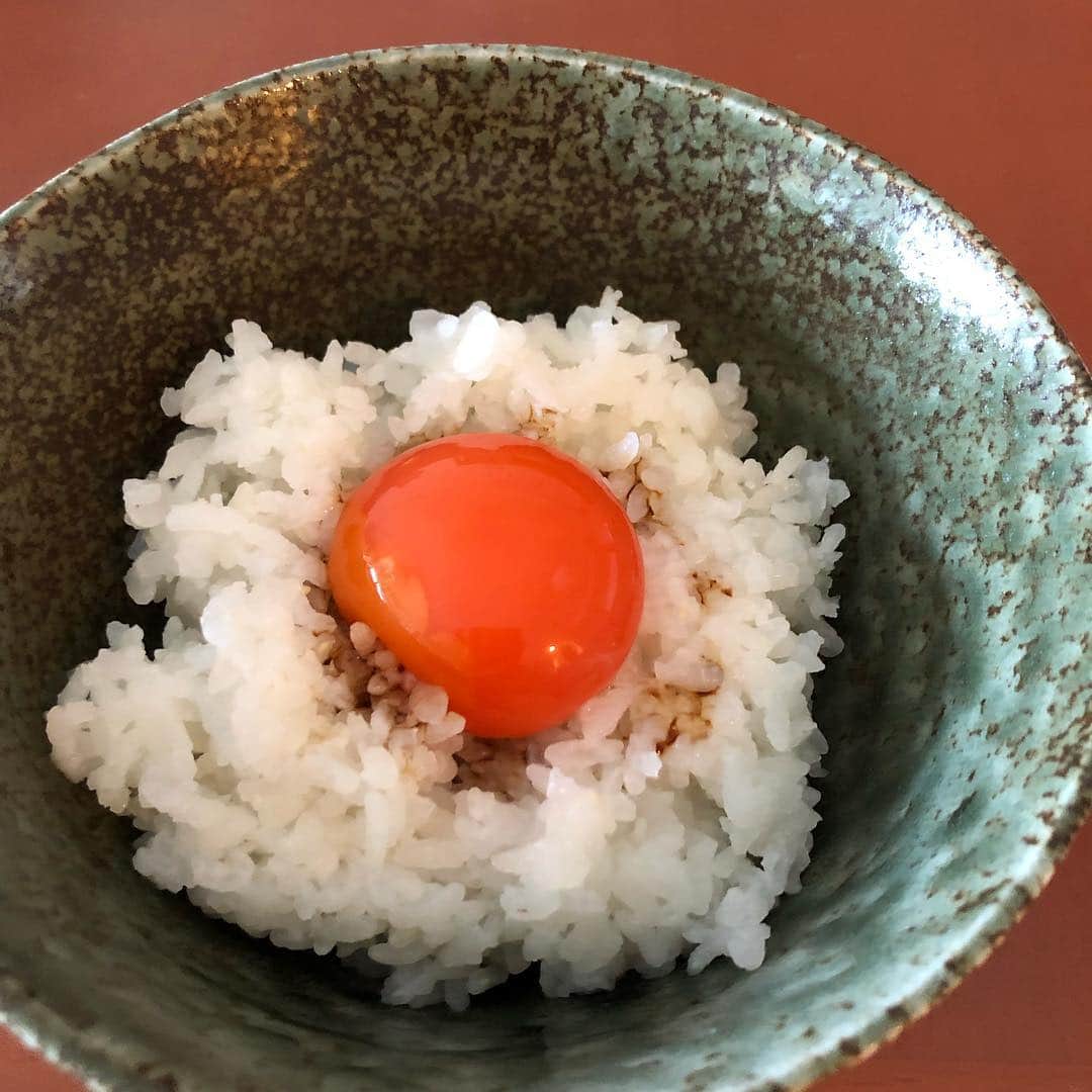 馬場典子さんのインスタグラム写真 - (馬場典子Instagram)「一足早い誕生日プレゼント！？と思うほど、高級！濃厚！な美味しい#卵 と立派なあじの開きを頂きました。オススメ通り、生醤油で#卵かけご飯 #tkg」4月4日 17時41分 - baba_channel