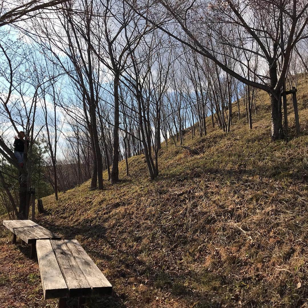 井上咲楽さんのインスタグラム写真 - (井上咲楽Instagram)「. 11歳差の妹。家の山をのぼってヨモギ摘んで、おやつたべました！ .」4月4日 9時32分 - bling2sakura