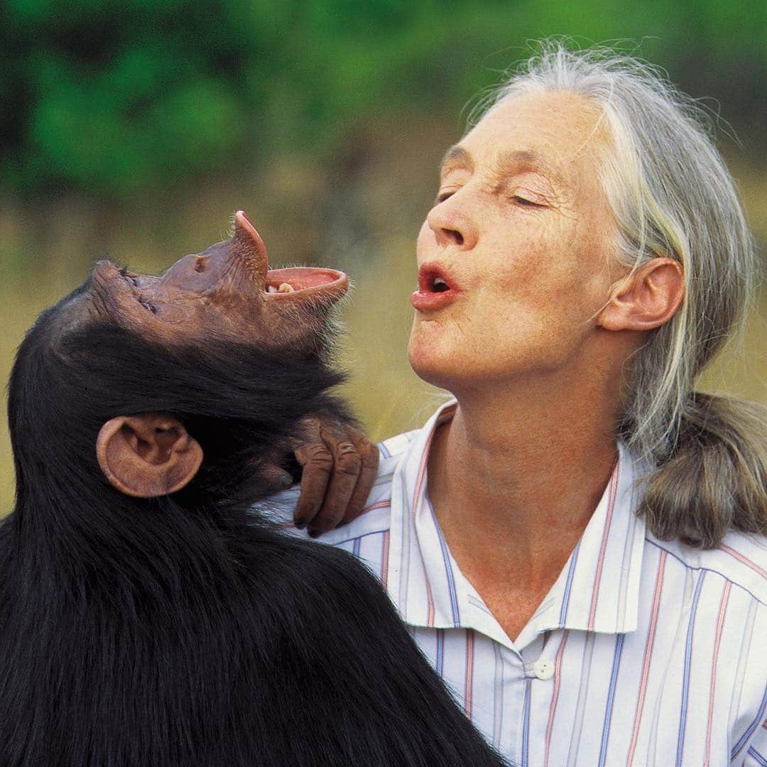 エレン・ポンピオさんのインスタグラム写真 - (エレン・ポンピオInstagram)「Happiest birthday Dr. Jane Goodall! “Every individual matters. Every individual has a role to play. Every individual makes a difference.” @janegoodallinst  The world is a better place because of you. Thank you for a lifetime of love and dedication to our planet, to the animal kingdom and to mankind.  http://www.janegoodall.org/donate/」4月4日 9時38分 - ellenpompeo