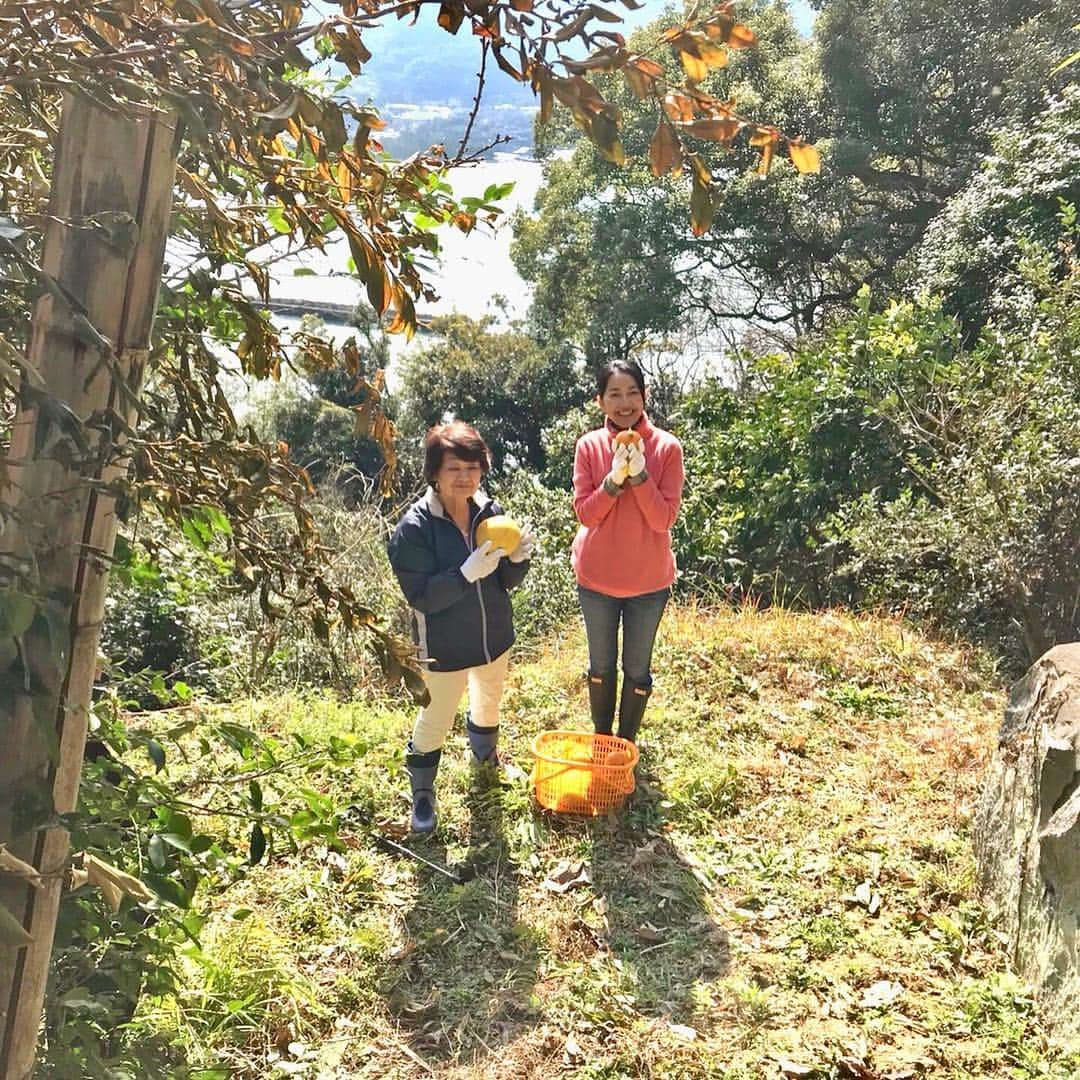 羽田美智子さんのインスタグラム写真 - (羽田美智子Instagram)「今日から羽田甚商店で千鳥屋糸島別荘さんの甘夏マーマレード、甘夏&檸檬マーマレード『糸島ジュエル』販売開始です🍊 イギリスで年に一度開かれるマーマレード大会にて、先日見事ブロンズ賞を受賞された世界の舌を魅了するマーマレードです❗ 無農薬、ノーワックス、安心安全な果実から作る甘酸っぱくほろ苦いマーマレードはマーマレードを超えてる！と私は思っています。  キラキラとジュエリーのように輝いてるんですよ！  私のお友達のお母様手作りのマーマレード、、今夜8:54～9:00BS日テレ『羽田美智子のにっぽん旅』でご紹介させていただきます！！ #羽田甚商店 #糸島ジュエル #千鳥屋糸島別荘 #羽田美智子のにっぽん旅 #マーマレード」4月4日 9時51分 - michikohada