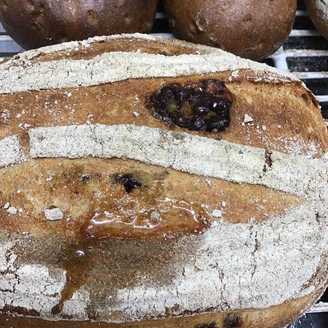 魔女菅原のグルメインスタ