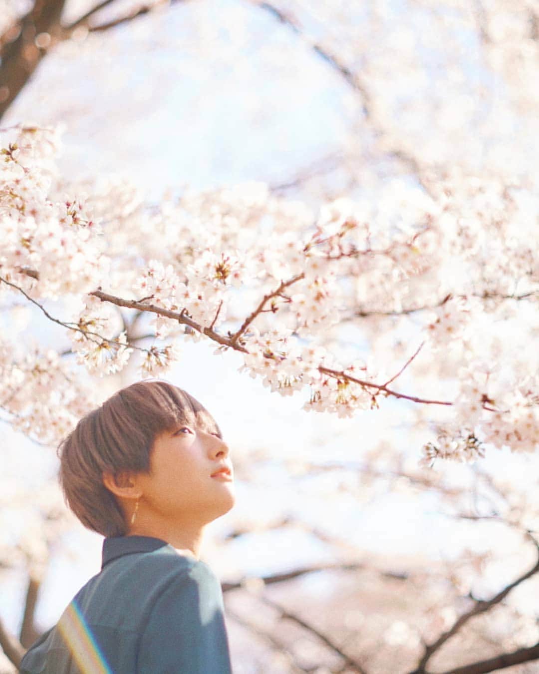 もろんのんさんのインスタグラム写真 - (もろんのんInstagram)「桜が咲いてるだけで幸せな気分🌸」4月4日 10時11分 - moron_non