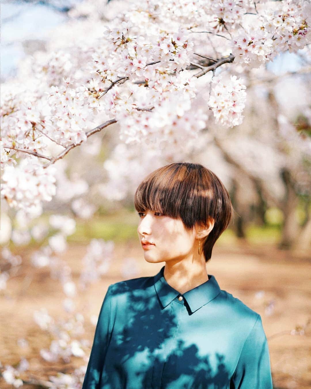 もろんのんさんのインスタグラム写真 - (もろんのんInstagram)「桜が咲いてるだけで幸せな気分🌸」4月4日 10時11分 - moron_non