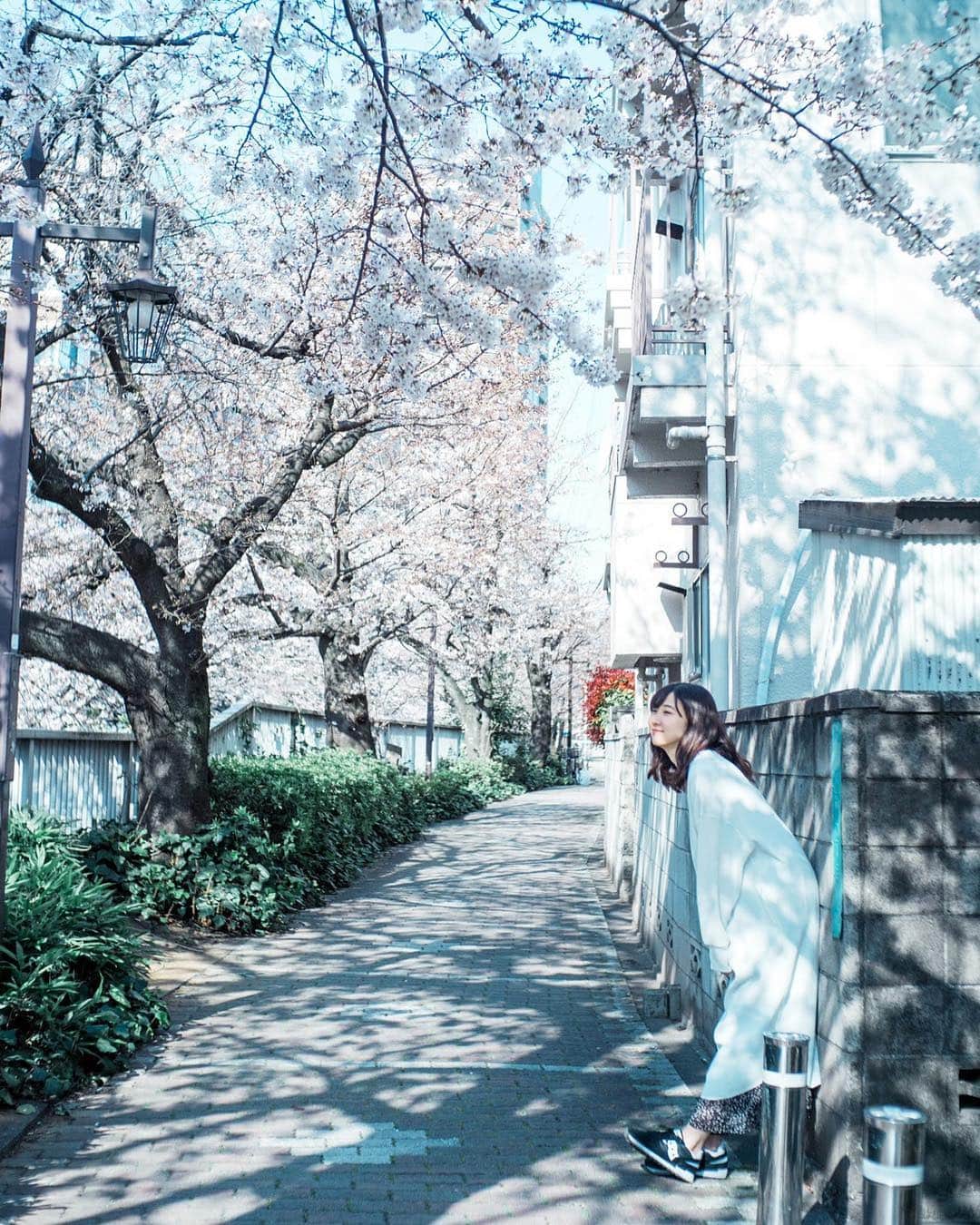 吉田友利恵さんのインスタグラム写真 - (吉田友利恵Instagram)「ぽかぽか☺︎ #ゆりえわんぴぃす」4月4日 10時13分 - _yurieyoshida_