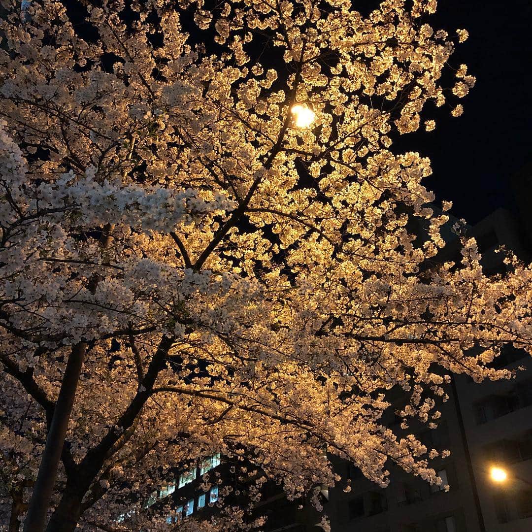 井上公造のグルメインスタ