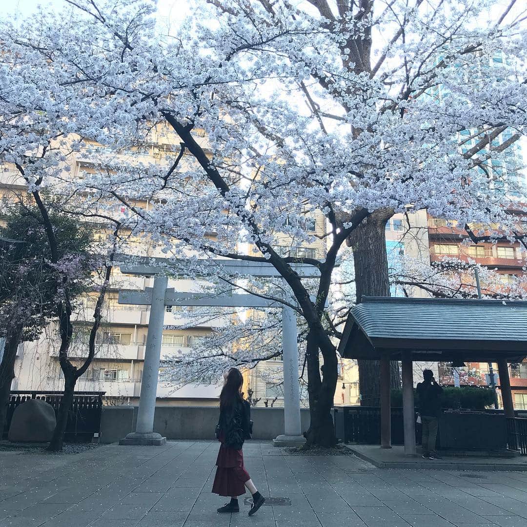 浜田翔子さんのインスタグラム写真 - (浜田翔子Instagram)「2人ともすっぴんでお花見おさんぽ。 やっとできたよー🌸🌸🌸いろんな発見あって楽しかった💕」4月4日 10時49分 - shoko_hamada